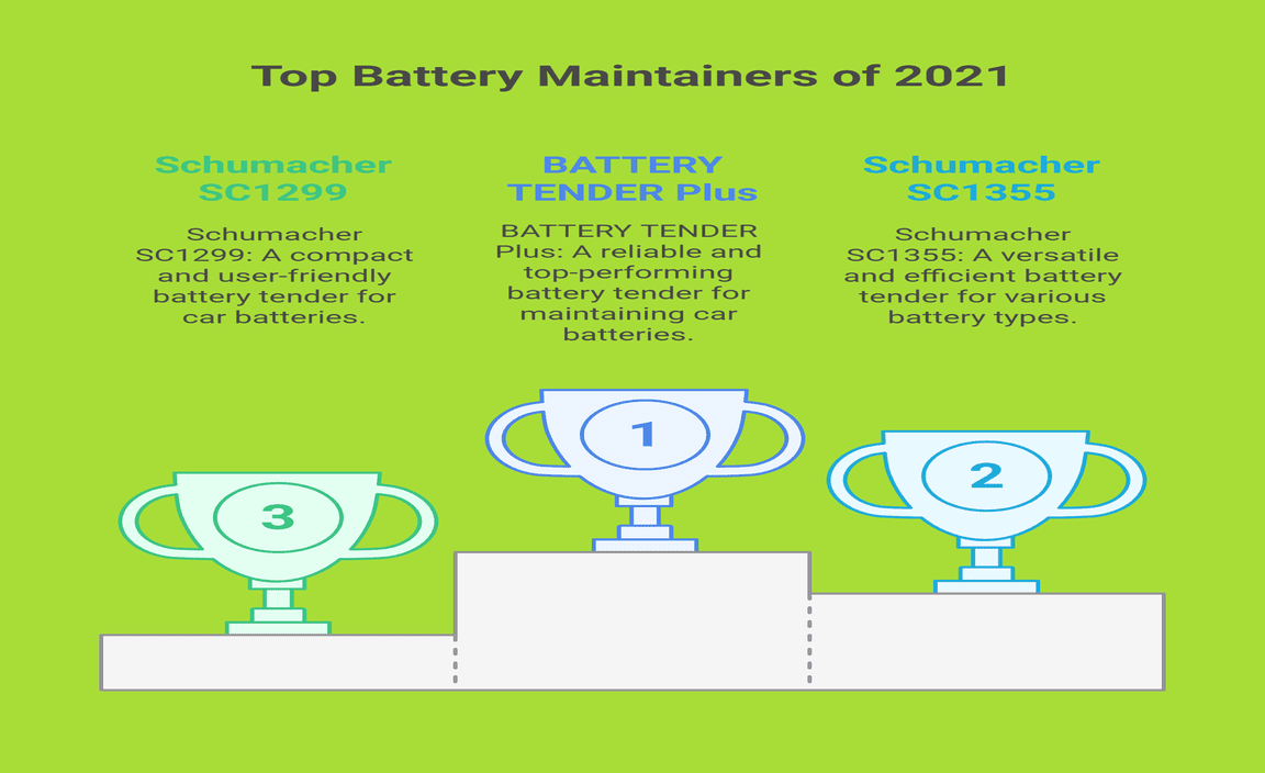 Top Battery Maintainers For Now