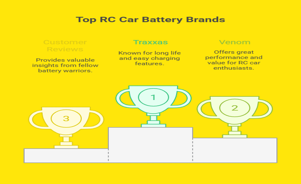 Best Brands for RC Car Batteries