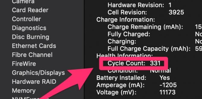 how much is a replacement battery for macbook pro how much is a replacement battery for macbook pro