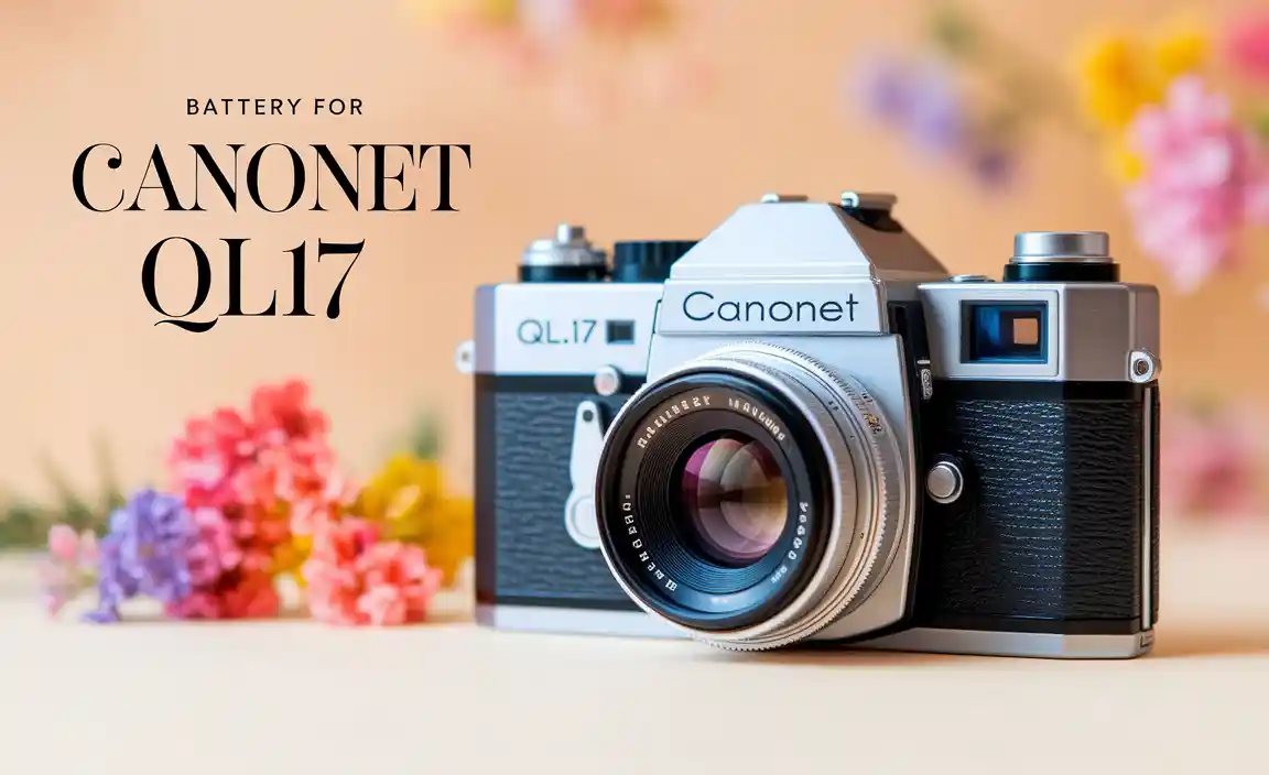 Battery For Canonet Ql17