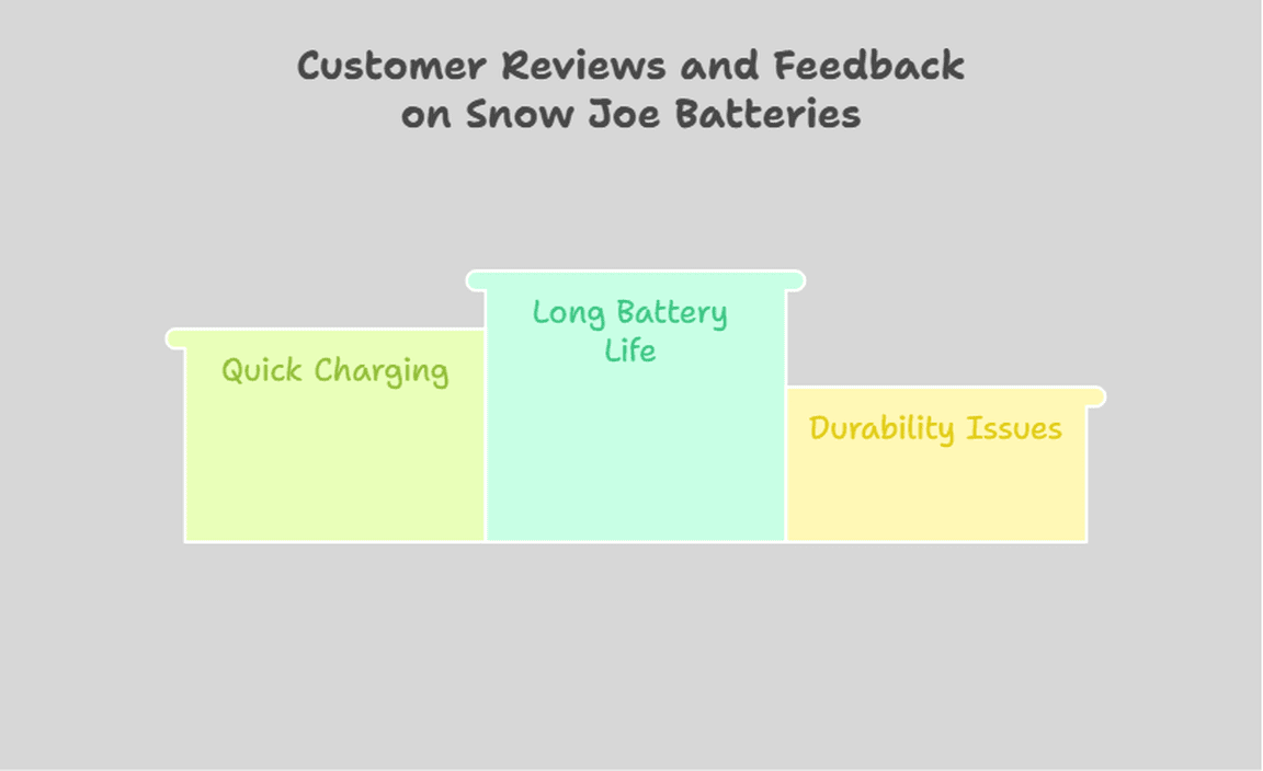 Customer Reviews and Feedback on Snow Joe Batteries