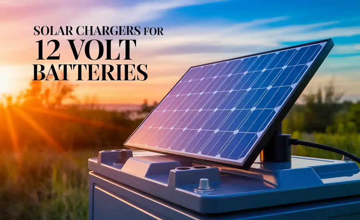 Solar Chargers For 12 Volt Batteries