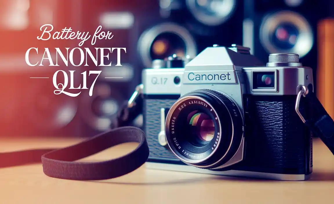 Types of Batteries Compatible with Canonet QL17