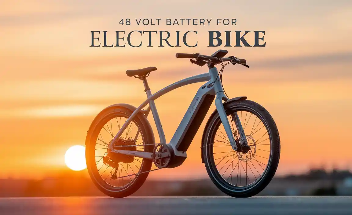 Understanding 48 Volt Battery Technology