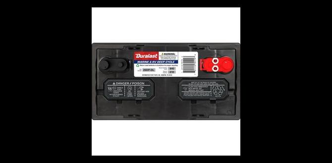 best deep cycle car battery with warranty near me best deep cycle car battery with warranty near me